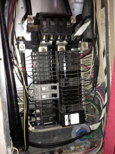 panel4.jpg